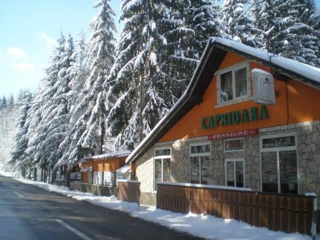 Отель Complex Turistic Caprioara Бая-Маре-4
