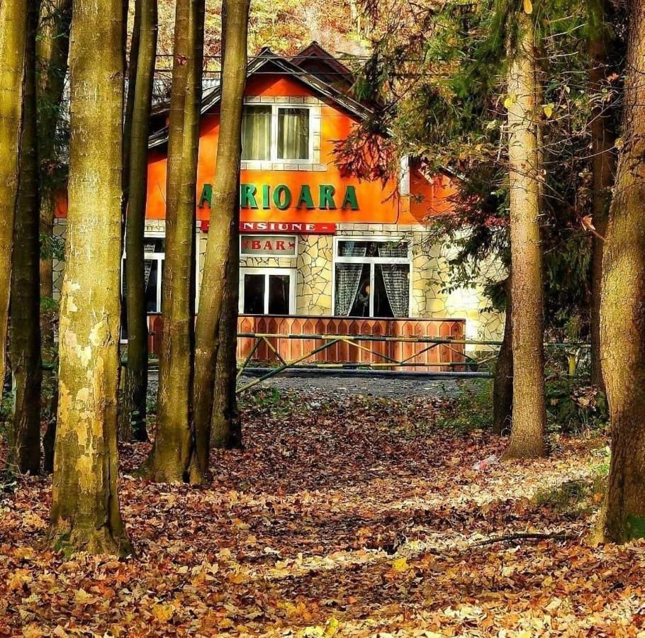 Отель Complex Turistic Caprioara Бая-Маре