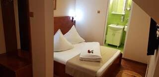 Отель Complex Turistic Caprioara Бая-Маре Двухместный номер с 1 кроватью или 2 отдельными кроватями-5