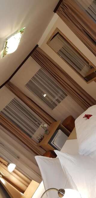 Отель Complex Turistic Caprioara Бая-Маре Двухместный номер с 1 кроватью или 2 отдельными кроватями-14