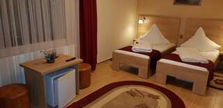 Отель Complex Turistic Caprioara Бая-Маре Двухместный номер с 1 кроватью или 2 отдельными кроватями-16